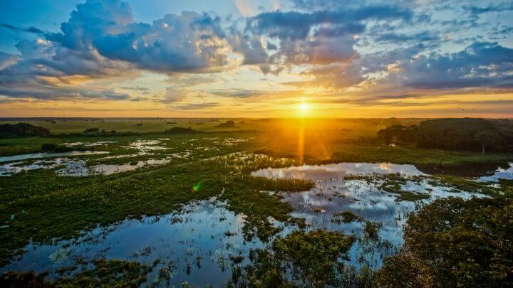 Imagem do pôr do sol no Pantanal