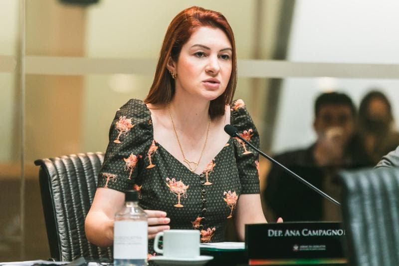 Deputada de SC, Ana Campagnolo destina R$ 250 mil a entidade do próprio  advogado - NSC Total