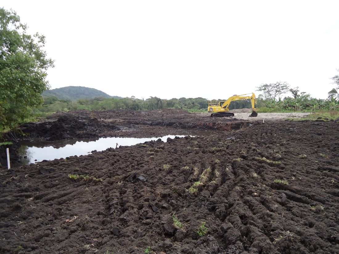Obras em fase inicial em trecho do contorno de São Francisco do Sul