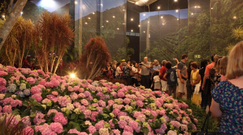 festa-das-flores-Joinville