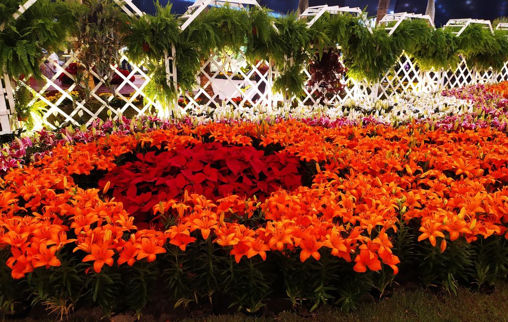 Festa das Flores 2022