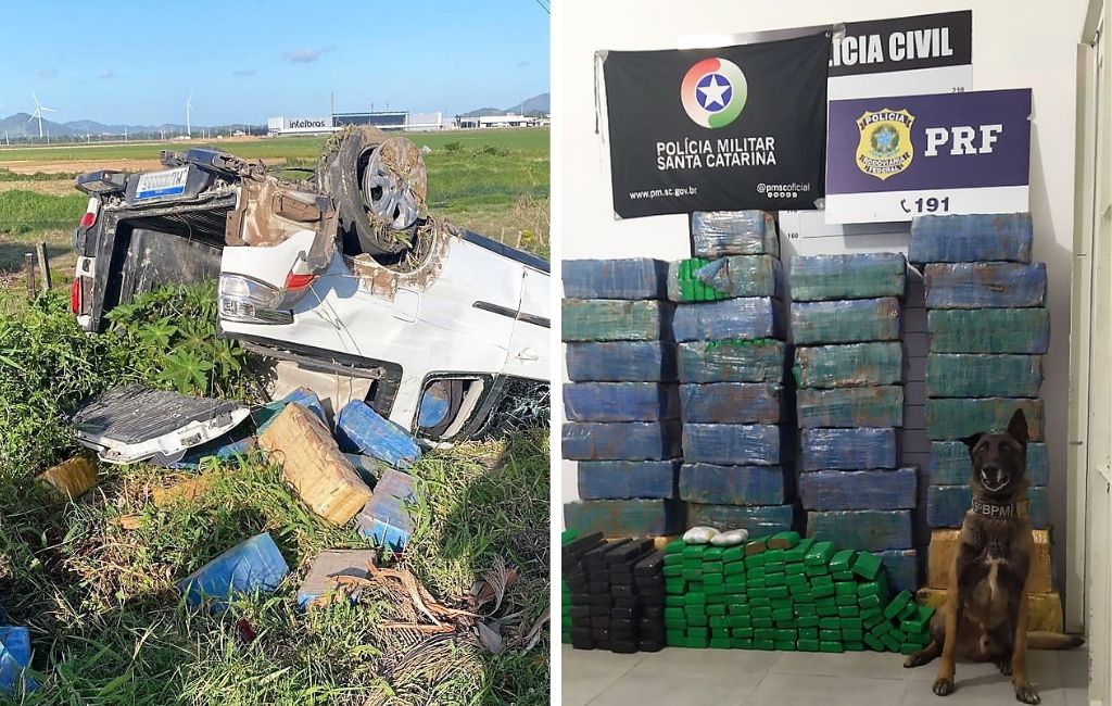 Capotamento e drogas