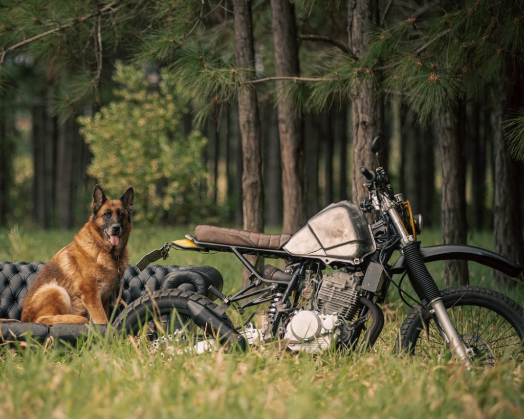 moto customizada