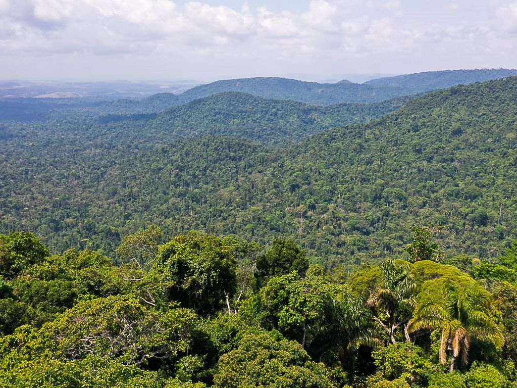 amazonia brasil