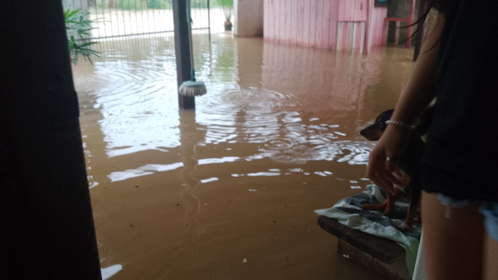 Em Corupá, casas foram invadidas pela água