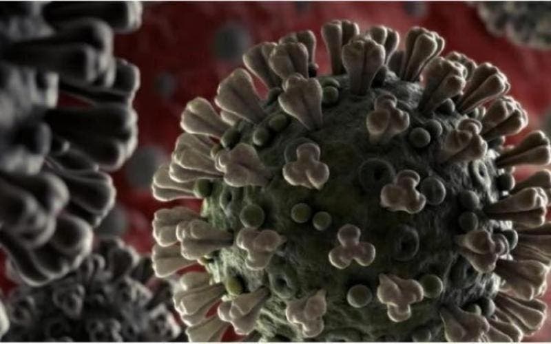 coronavírus