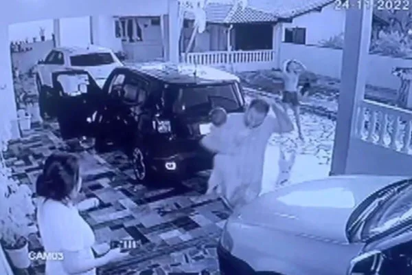 Família é atacada por abelhas
