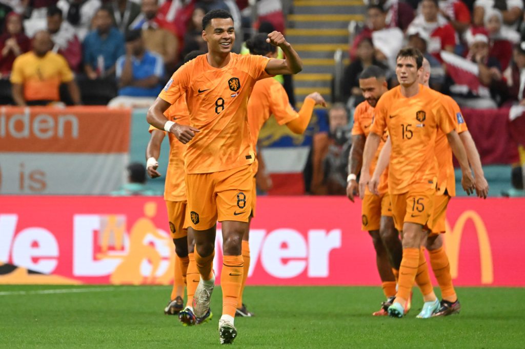 holanda x catar