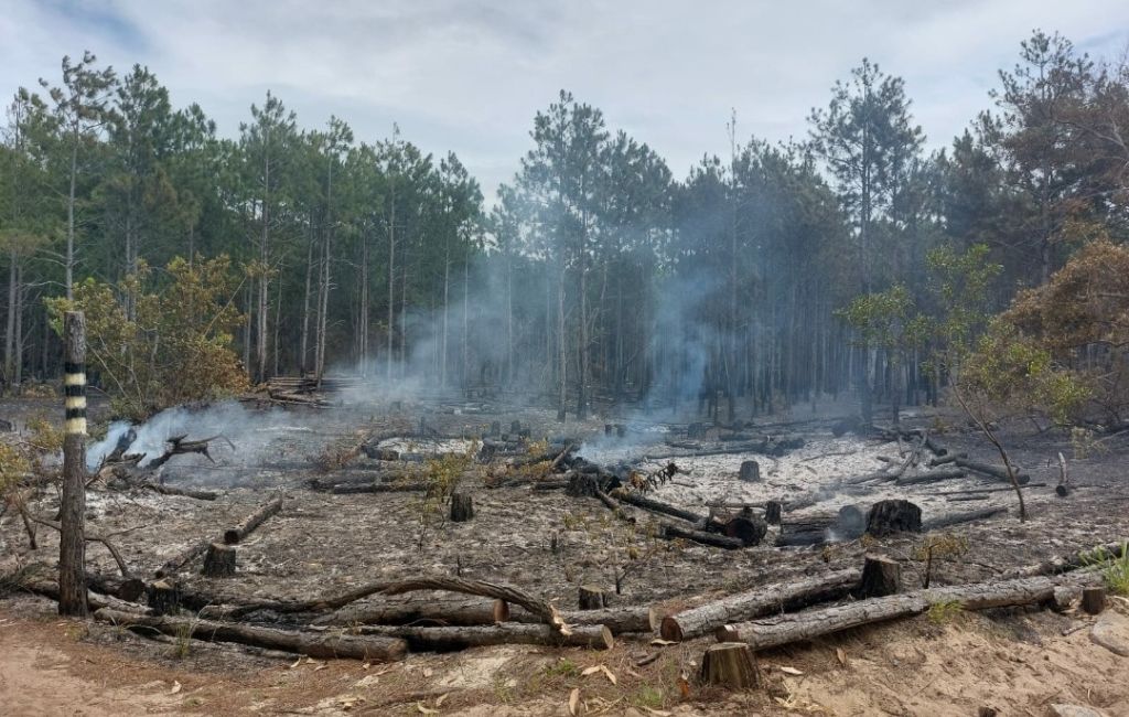 Incêndio atinge Parque estadual do Rio Vermelho
