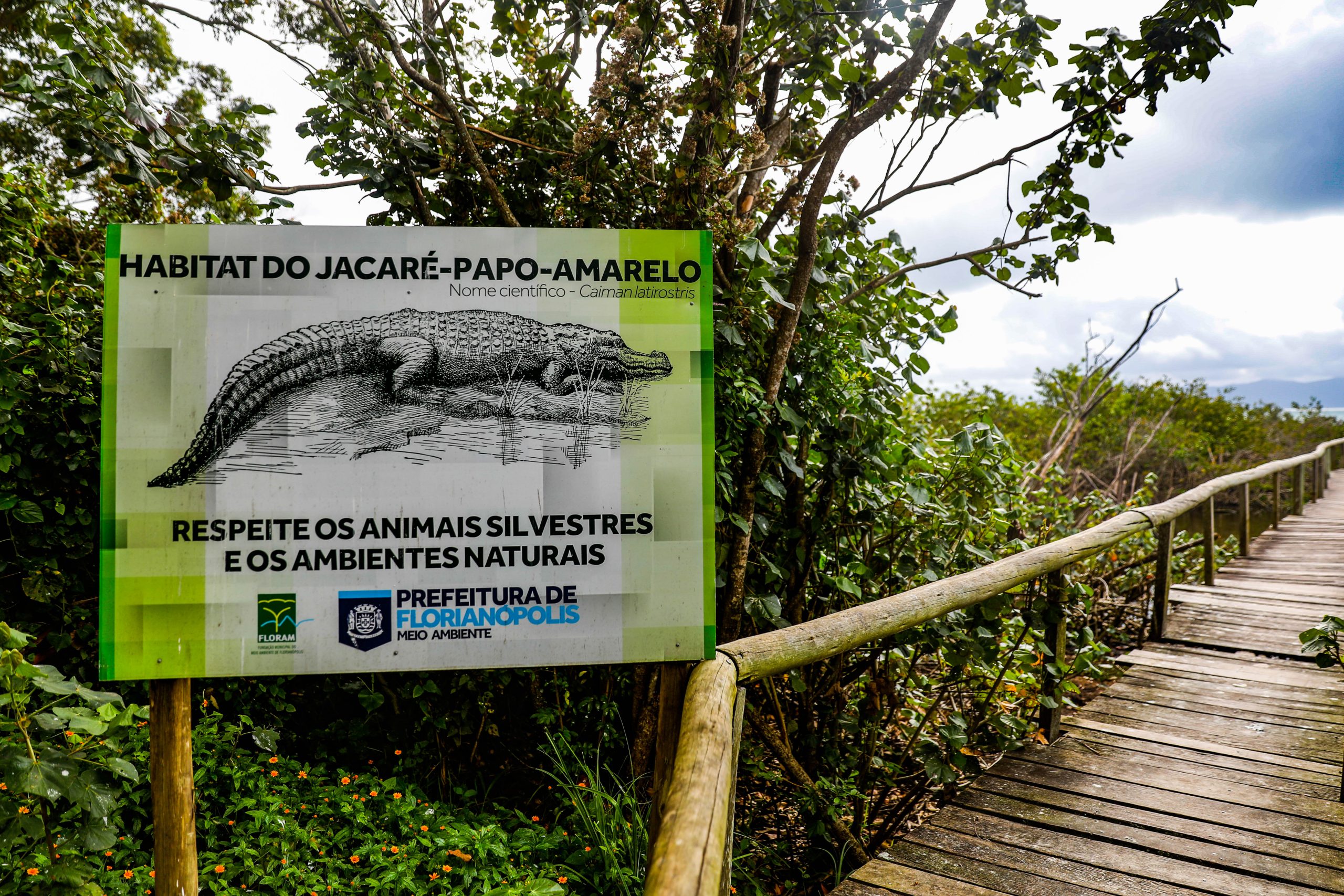 Placa foi instalada em Ponta das Canas em Florianópolis