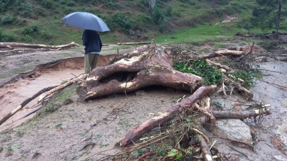 Acesso à Angelina está bloqueado por árvores e deslizamentos de terra