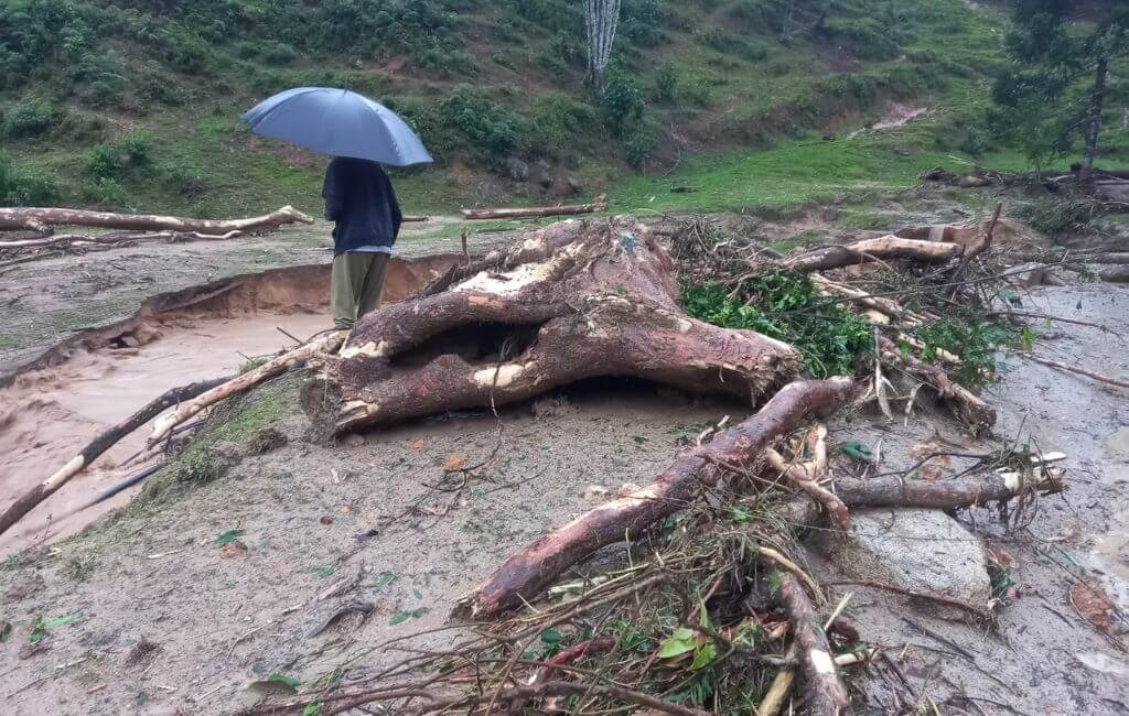 Acesso à Angelina está bloqueado por árvores e deslizamentos de terra