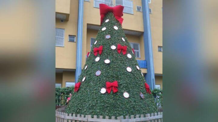 árvore-natal-joinville