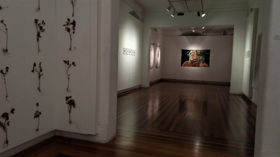 Audrian Cassanelli, artista do Oeste de SC, foi selecionado no Edital 2022.