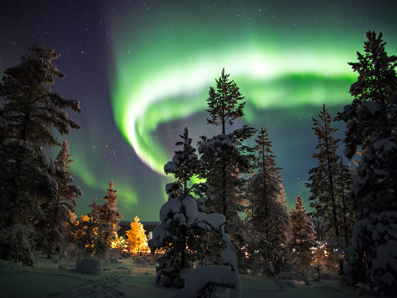 Vista da aurora boreal e pinheiros na Lapônia