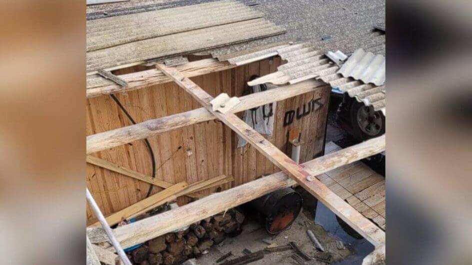 Cavalo caiu em cima do telhado