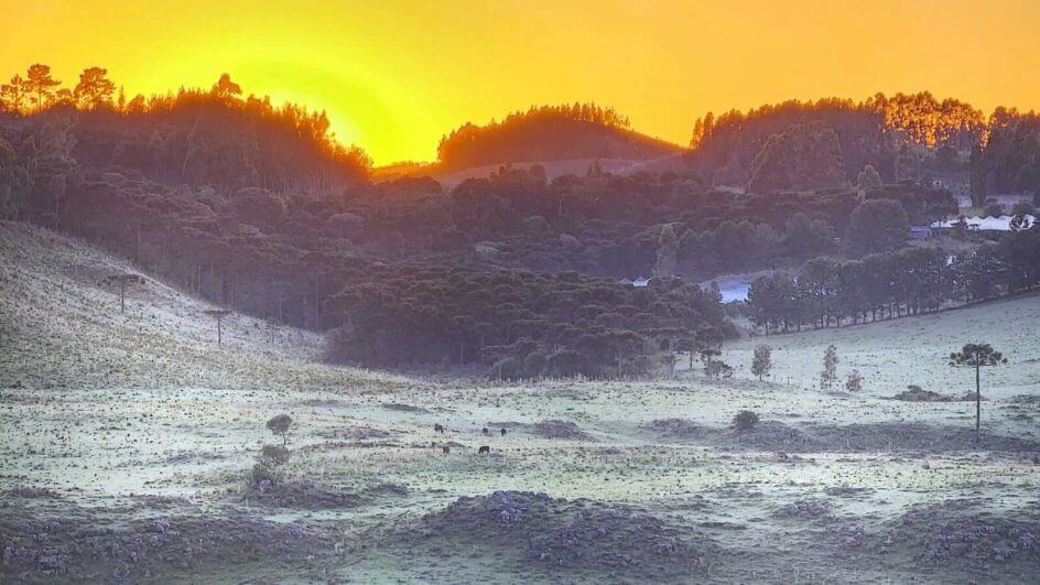 Geada em São Joaquim (Mycchel Legnaghi / @saojoaquimonline.com.br)