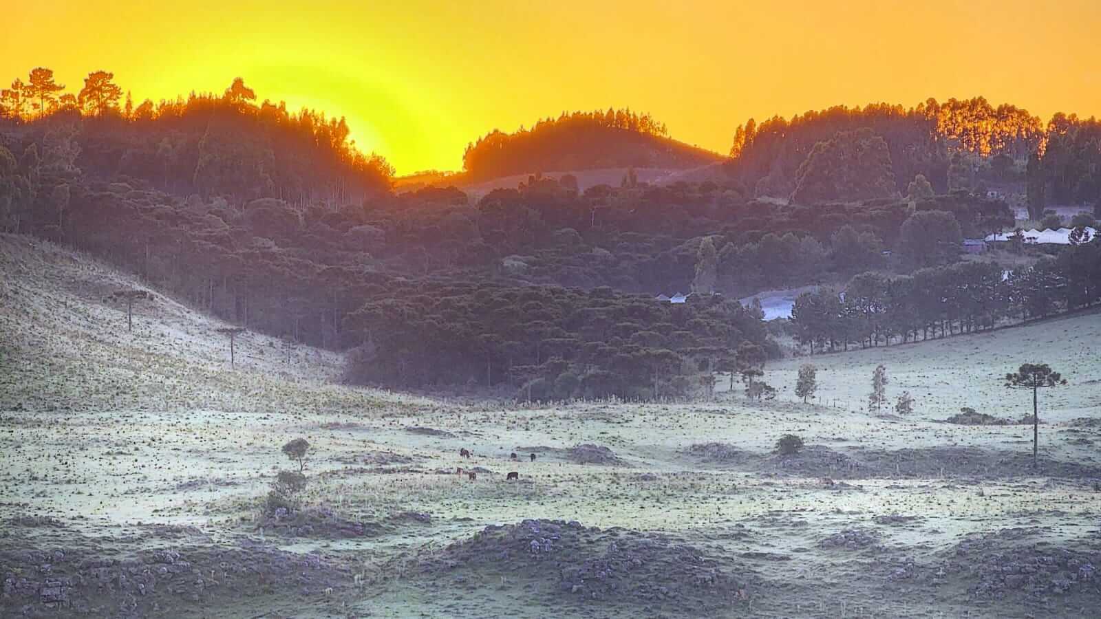 Geada em São Joaquim (Mycchel Legnaghi / @saojoaquimonline.com.br)
