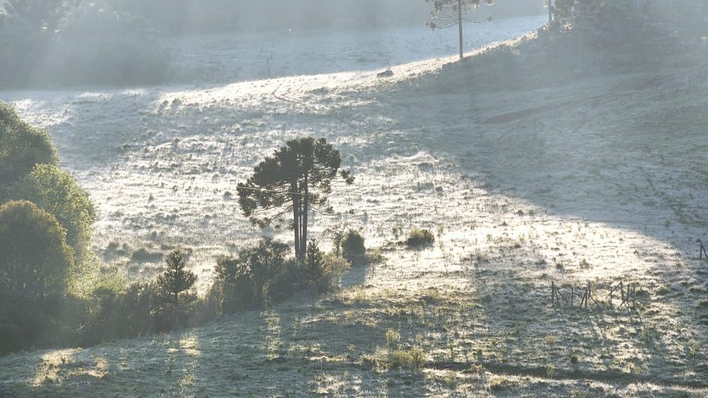Geada ocorreu nesta quinta-feira (8) na Serra de SC