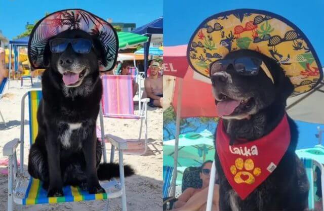Laika voltou ao litoral catarinense para curtir o Ano-Novo