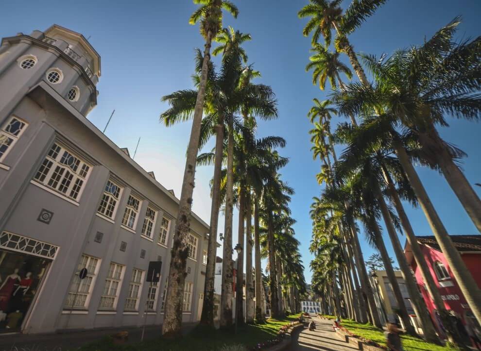 Plantio das palmeiras em Joinville foi realizado em 1873