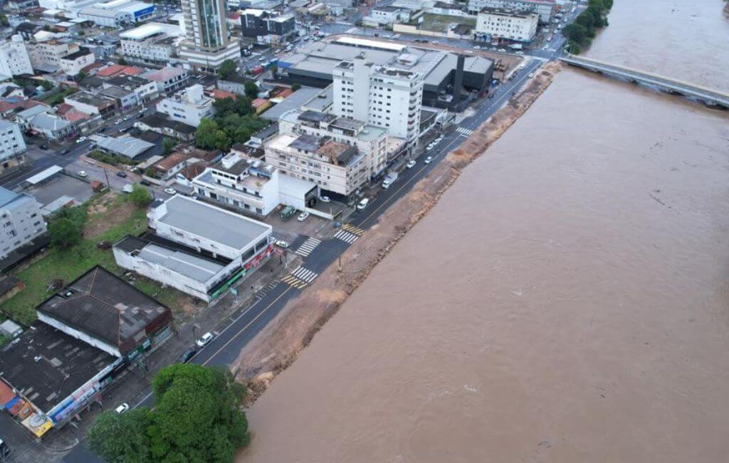 tubarão