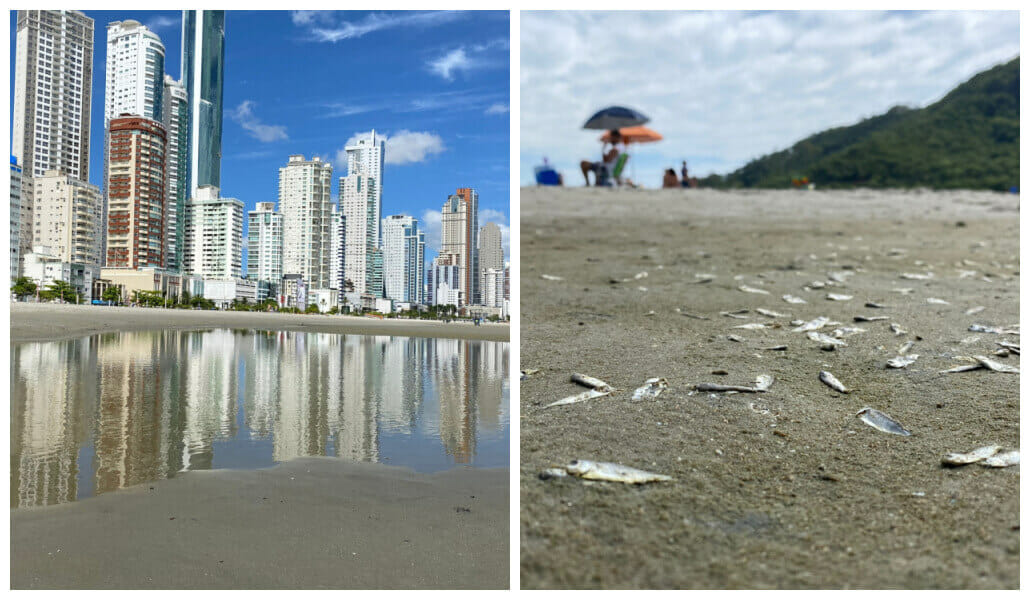 Lagoas e peixes mortos na areia
