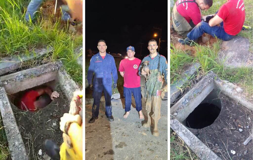 Cachorro resgatado pelos bombeiros