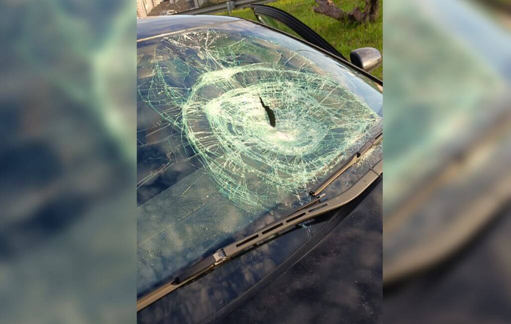 atropelamento br-101