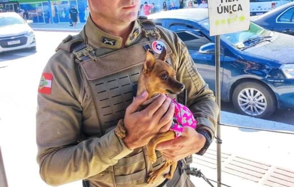 PM usou equipamento para destravar a porta resgatar animal