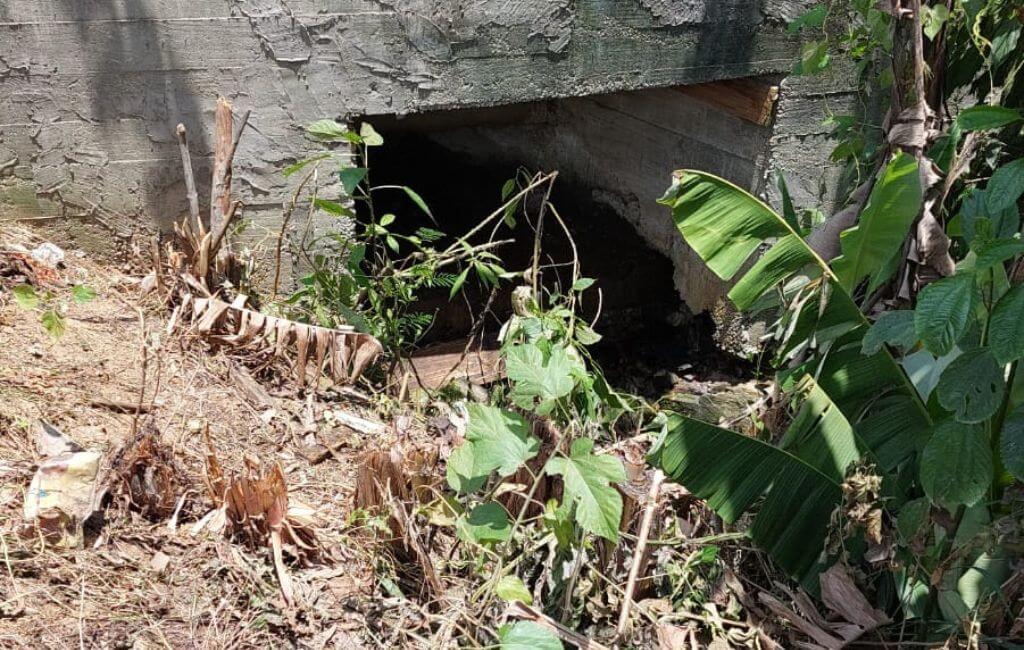 corpo encontrado em esgoto blumenau