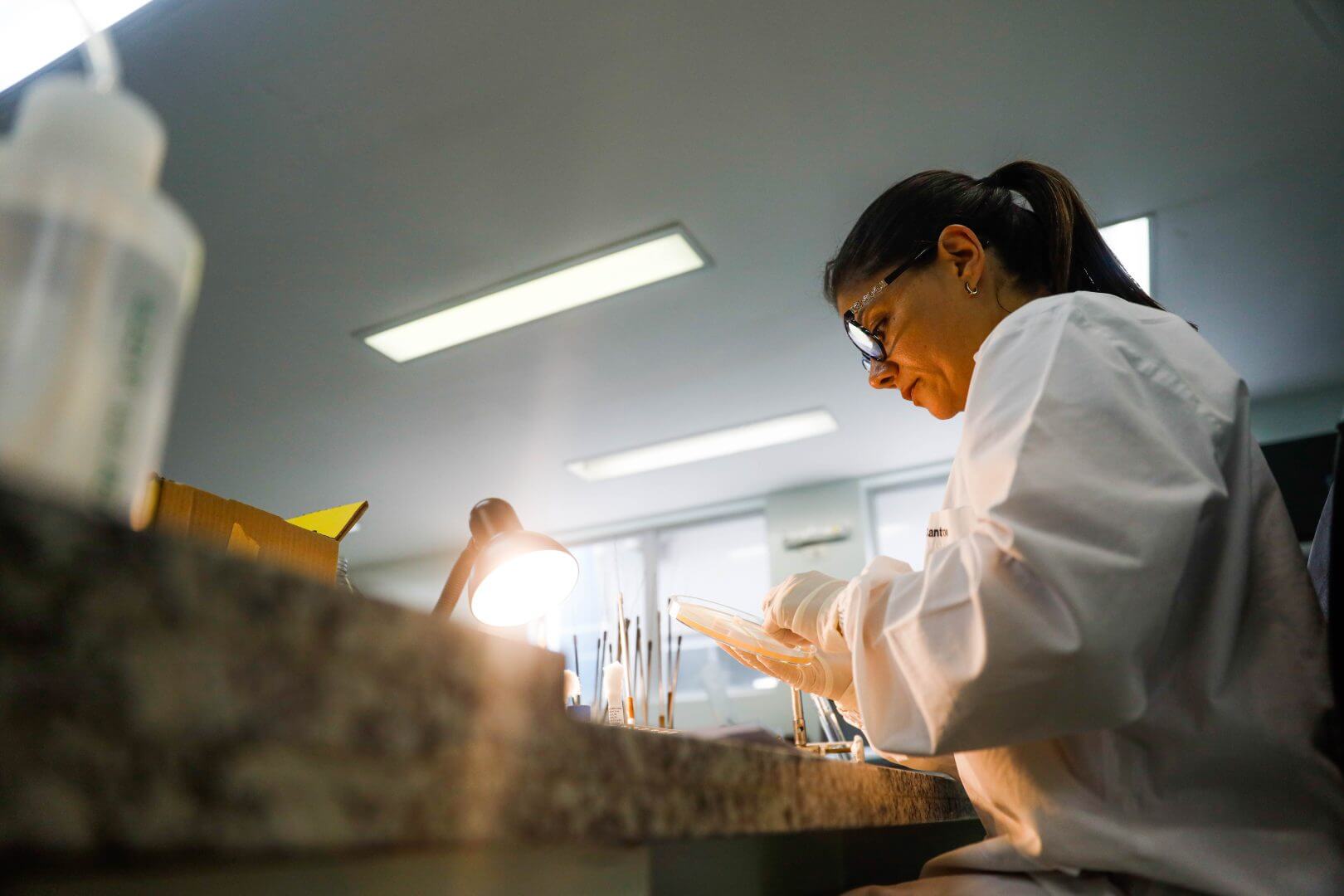 investigação casos de diarreia em SC