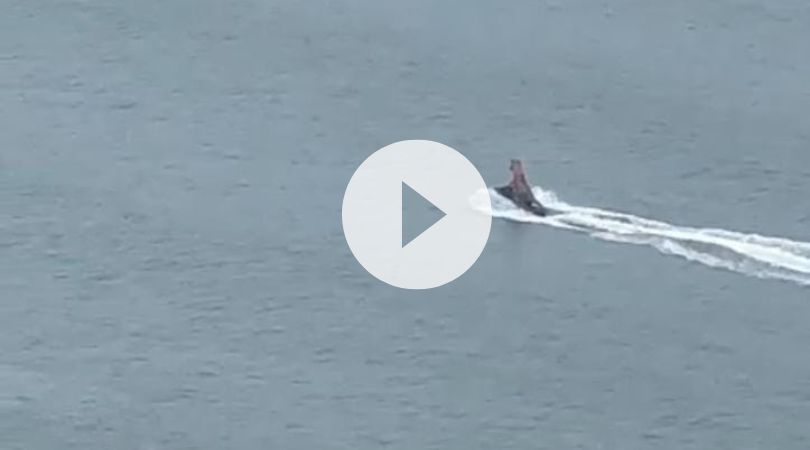 Homem fantasiado de dinossauro passeava pelo mar da Praia Central