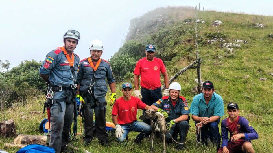 Cachorro não teve ferimentos (Foto: Corpo de Bombeiros Militar/Divulgação)