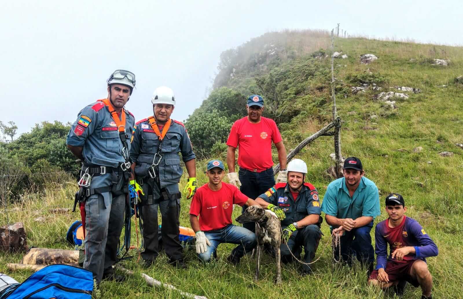 Cachorro não teve ferimentos (Foto: Corpo de Bombeiros Militar/Divulgação)