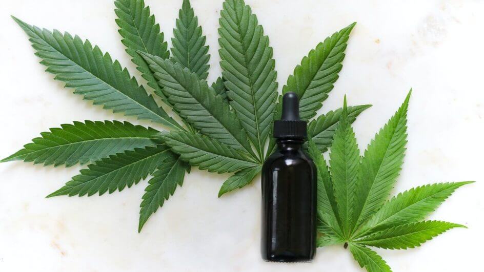Cannabis é utilizada em diversos produtos pelo mundo