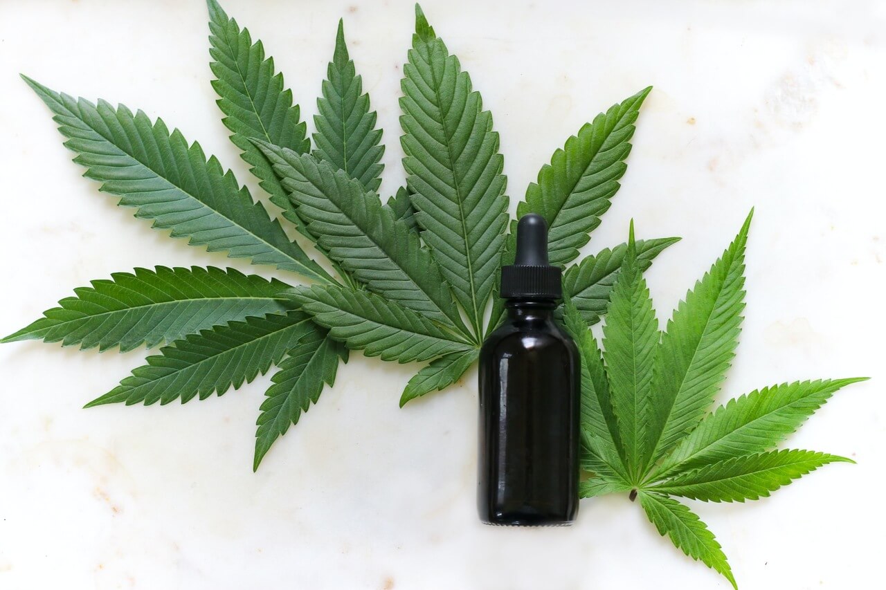 Cannabis é utilizada em diversos produtos pelo mundo