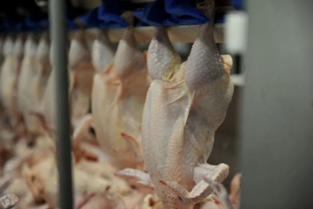 carne de frango