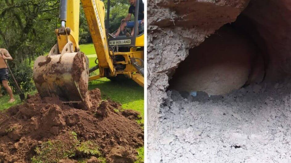 Cachorro foi encontrado dentro de buraco em Mafra