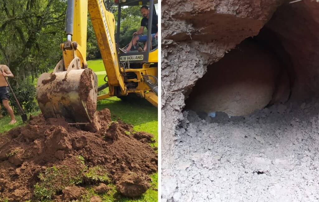 Cachorro foi encontrado dentro de buraco em Mafra