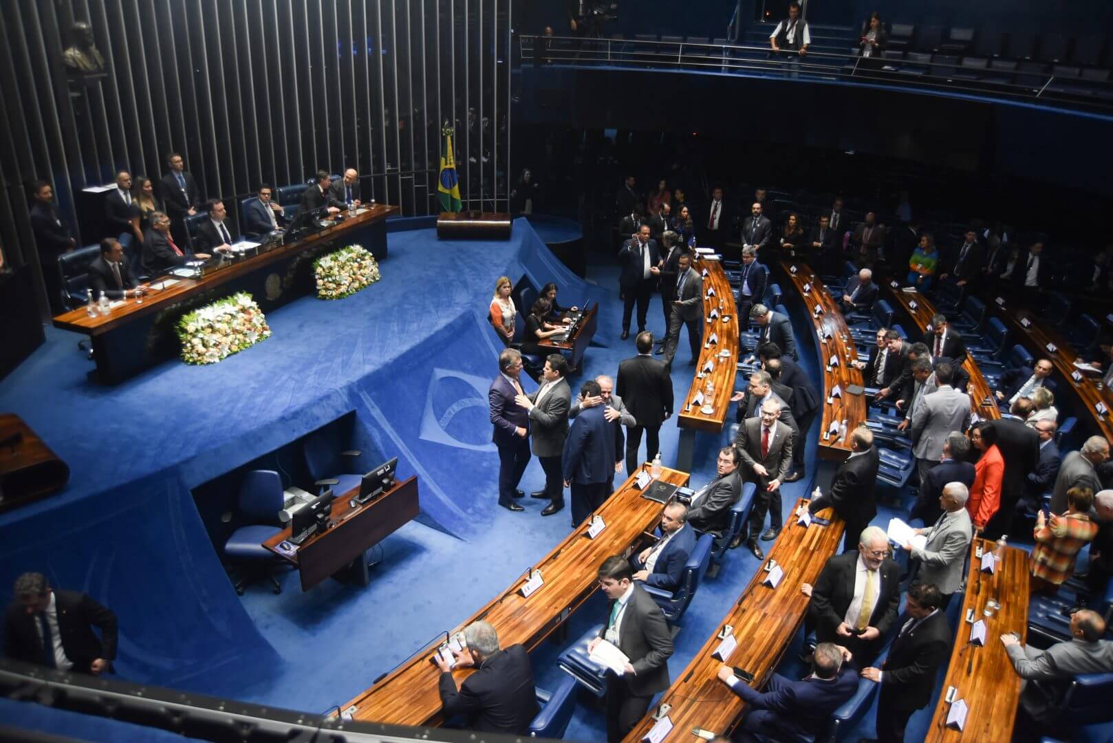 senado