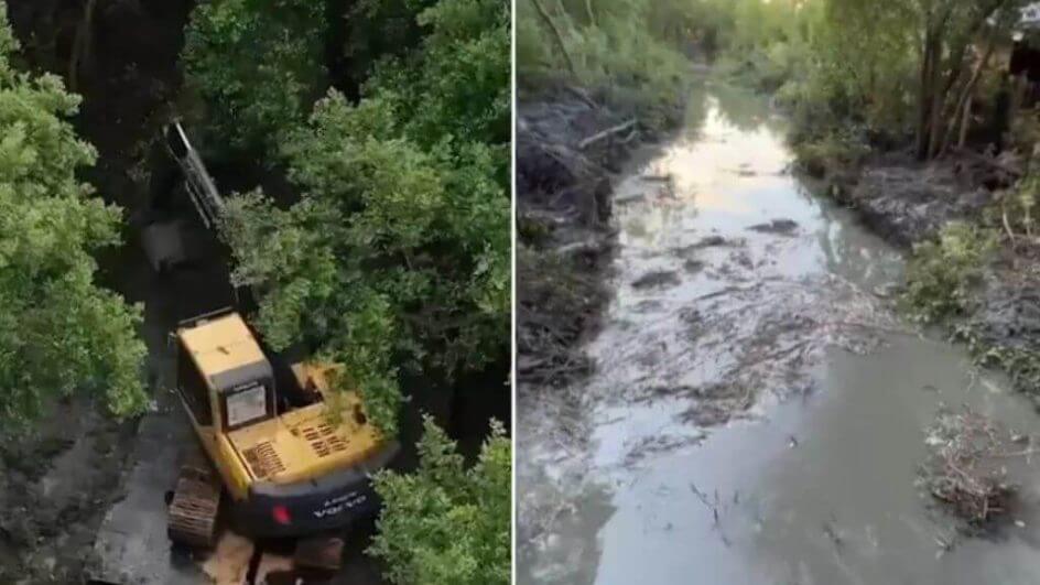 Canal do Rio Tavares