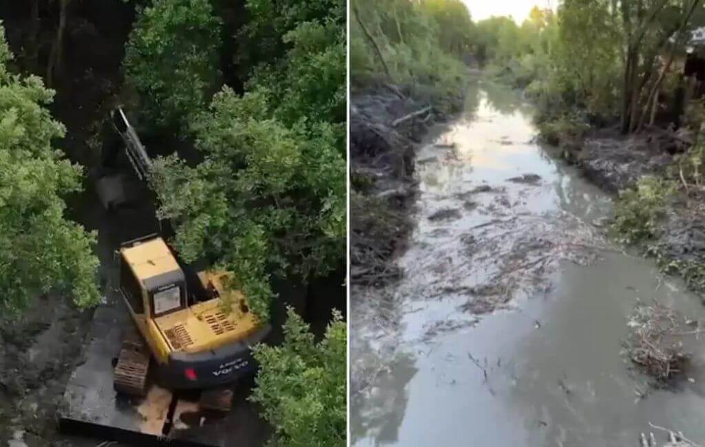 Canal do Rio Tavares
