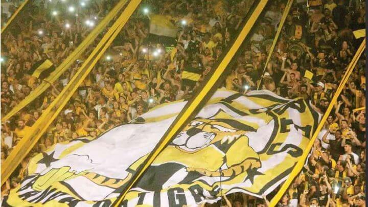 Torcida do Criciúma faz a festa mais bonita do Catarinense 2023