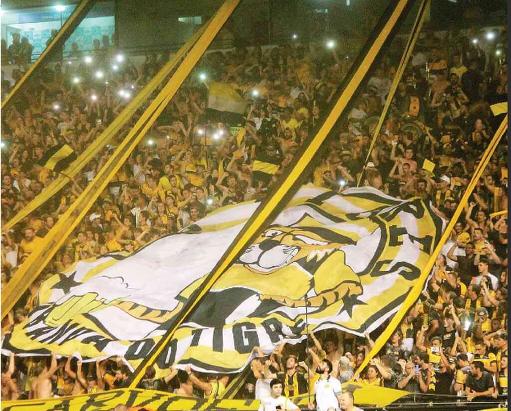 Torcida do Criciúma faz a festa mais bonita do Catarinense 2023