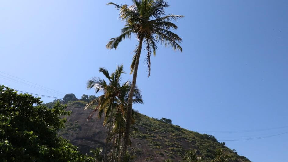 meio-ambiente política bolsonaro