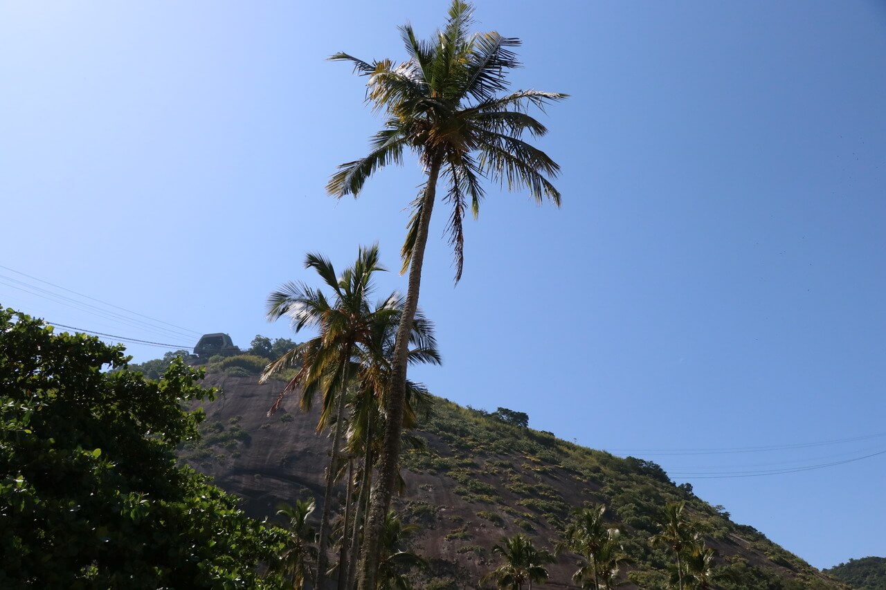 meio-ambiente política bolsonaro