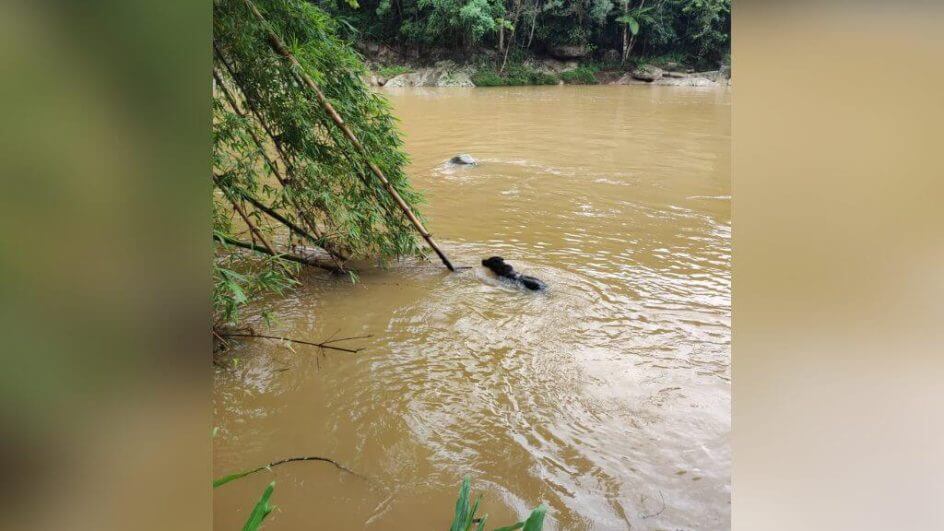 Criança segue sendo procurada pelos bombeiros (Foto: Corpo de Bombeiros Militar/Divulgação)