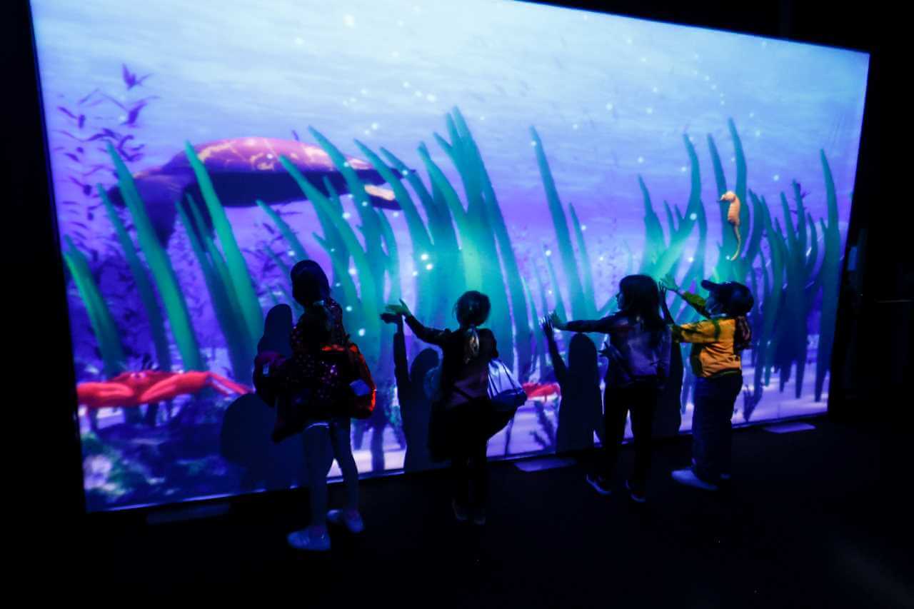 exposicao-one-blue-voice-the-coean-race