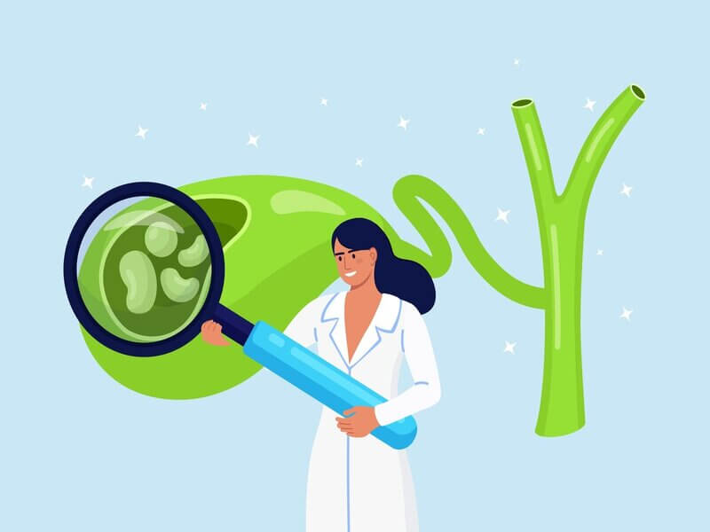 Ilustração médica examinando vesícula biliar